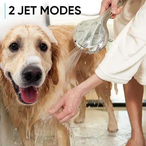 Powerful High Pressure Shower Head with 72 Hose