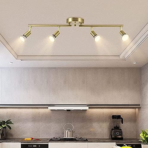 Luxury LED Ceiling Light Kit
