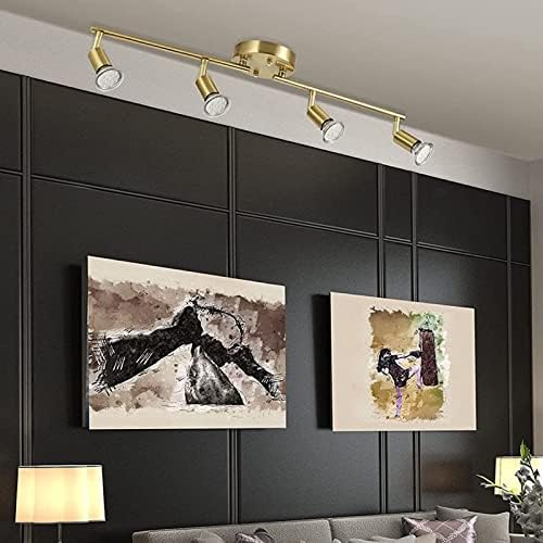 Luxury LED Ceiling Light Kit