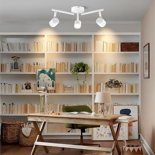 Arcfox 3-Light Track Lighting Kit Dimmable Adjustable 24W 3000K