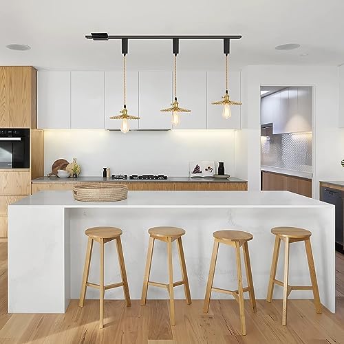 SKIVTGLAMP H-Type Track Pendant
