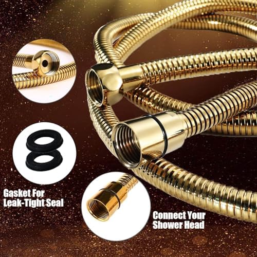 10 High-Pressure Rain Shower Head