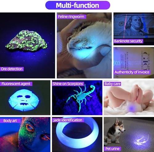 DARKBEAM UV Flashlight