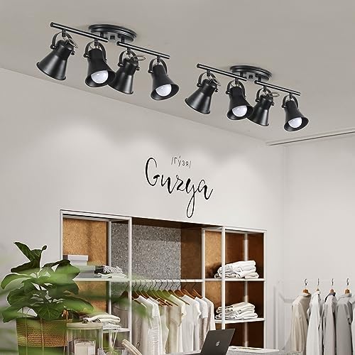 4-Light Track Lighting Kit