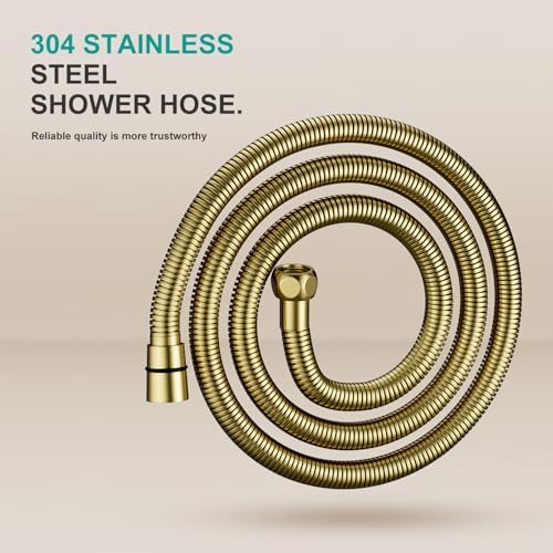 Adjustable Wall-Mounted Handheld Shower Head