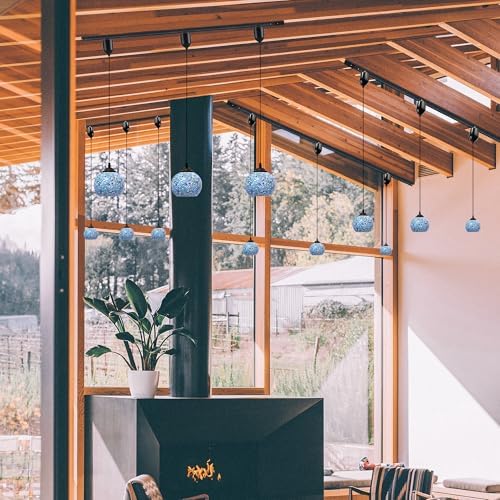 Adjustable Height Juno Track Pendant