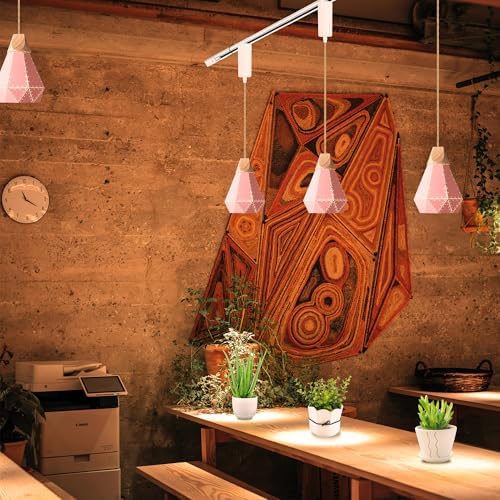 Full Spectrum 10W LED Plant Grow Light