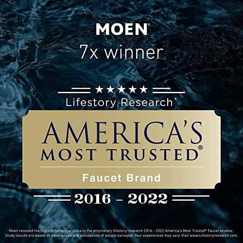 Relaxing Massaging Handheld Shower by Moen