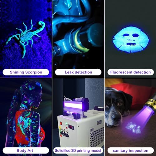 Pet Urine UV Flashlight Compact Powerful