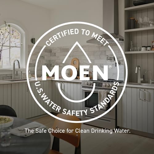 Moen Hydro Energetix Shower Head