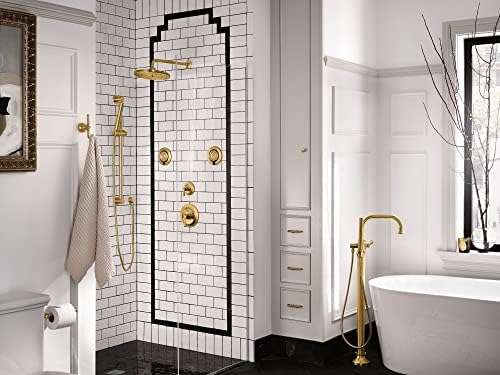 Moen 3887EPBG Modern Eco-Performance Handshower