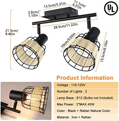 Vintage 2-Light LED Track Lighting Kit