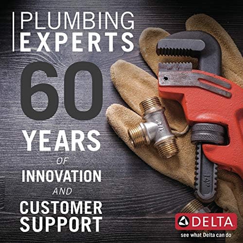 Delta Faucet ProClean Hand Shower with Slide Bar 51584-PN-PR